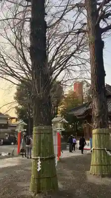 田無神社(東京都)