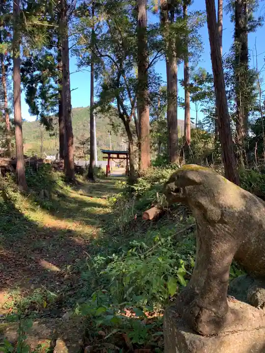 諏訪神社の狛犬