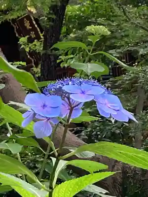 愛宕神社(東京都)