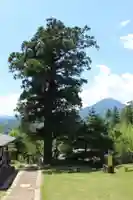 国宝 大法寺のその他建物