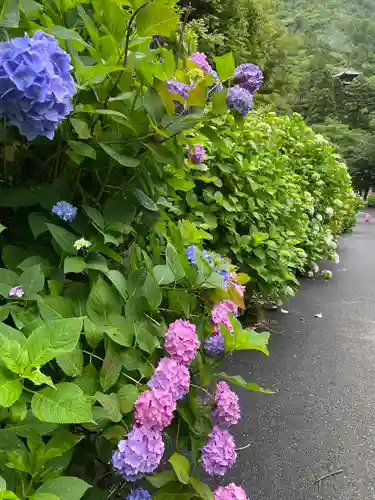 西法院(岡山県)