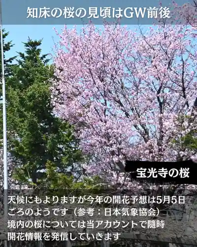 宝光寺(北海道)