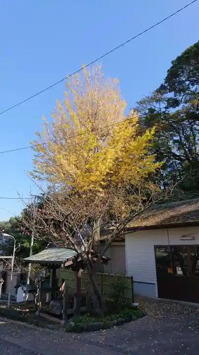 小動神社の自然