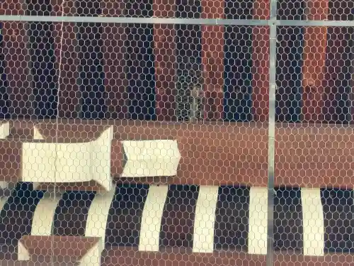 知恩院の{uncategorized: "未分類", other: "その他", undefined: "問題あり", building: "その他建物", grave: "お墓", sacred_gate: "鳥居", guardian: "狛犬", statue: "像", buddha: "仏像", history: "歴史", nature: "自然", garden: "庭園", animal: "動物", pagoda: "塔", temizu: "手水舎", mountain_gate: "山門・神門", sanctuary: "本殿・本堂", subordinate: "末社・摂社", art: "芸術", scenery: "景色", jizo: "地蔵", ema: "絵馬", goshuin: "御朱印", omikuji: "おみくじ", items: "授与品その他", amulet: "お守り", goshuincho: "御朱印帳", eats: "食事", festival: "お祭り", votive_dance: "神楽", shichigosan: "七五三参", wedding: "結婚式", experience: "体験その他", initially: "初詣", around: "周辺", anti_infection: "感染症対策"}