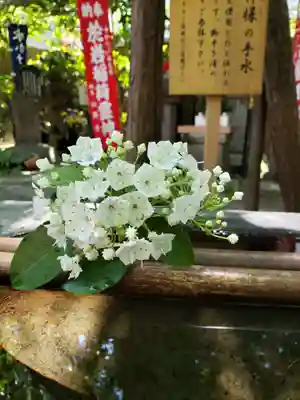 陽運寺(東京都)
