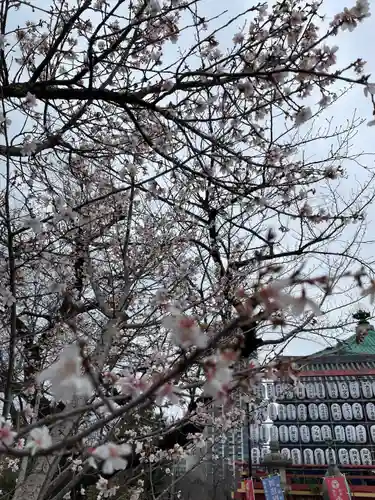 寛永寺不忍池弁天堂(東京都)