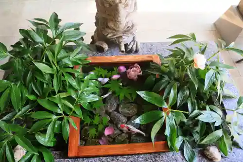 滑川神社 - 仕事と子どもの守り神の手水舎