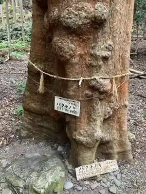 豊浦神社(三重県)
