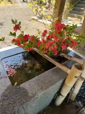 高司神社〜むすびの神の鎮まる社〜(福島県)