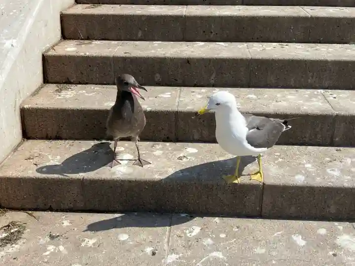 蕪嶋神社(青森県)