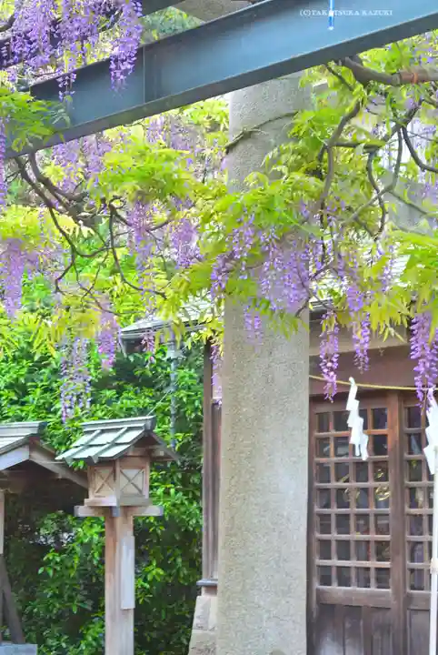 國領神社(東京都)