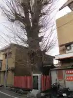 島原住吉神社(京都府)