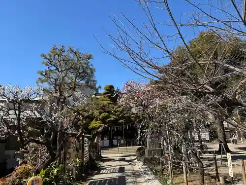 鳩森八幡神社(東京都)
