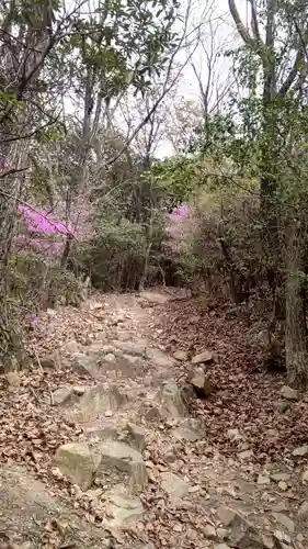 木華佐久耶比咩神社(岡山県)