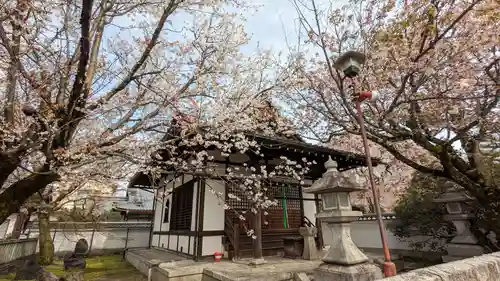 本満寺（本願満足寺）(京都府)