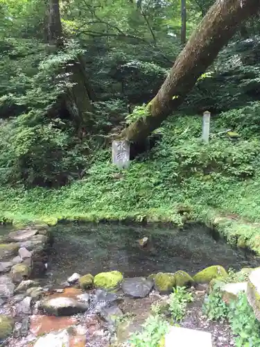 熊野皇大神社の庭園