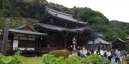 三室戸寺の本殿・本堂