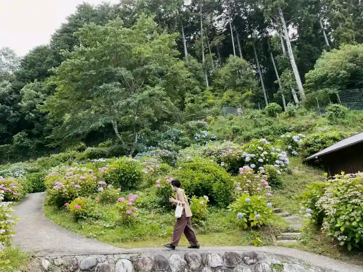 弥勒寺の{uncategorized: "未分類", other: "その他", undefined: "問題あり", building: "その他建物", grave: "お墓", sacred_gate: "鳥居", guardian: "狛犬", statue: "像", buddha: "仏像", history: "歴史", nature: "自然", garden: "庭園", animal: "動物", pagoda: "塔", temizu: "手水舎", mountain_gate: "山門・神門", sanctuary: "本殿・本堂", subordinate: "末社・摂社", art: "芸術", scenery: "景色", jizo: "地蔵", ema: "絵馬", goshuin: "御朱印", omikuji: "おみくじ", items: "授与品その他", amulet: "お守り", goshuincho: "御朱印帳", eats: "食事", festival: "お祭り", votive_dance: "神楽", shichigosan: "七五三参", wedding: "結婚式", experience: "体験その他", initially: "初詣", around: "周辺", anti_infection: "感染症対策"}