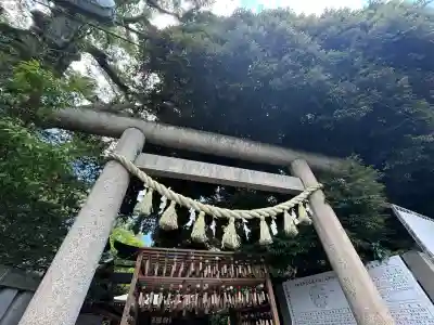 川越氷川神社(埼玉県)