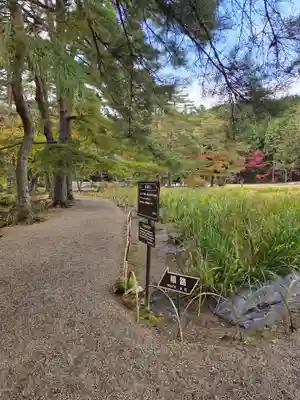 毛越寺の御朱印