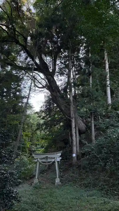三峯神社(岩手県)