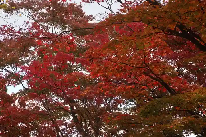 土津神社|こどもと出世の神さまの自然