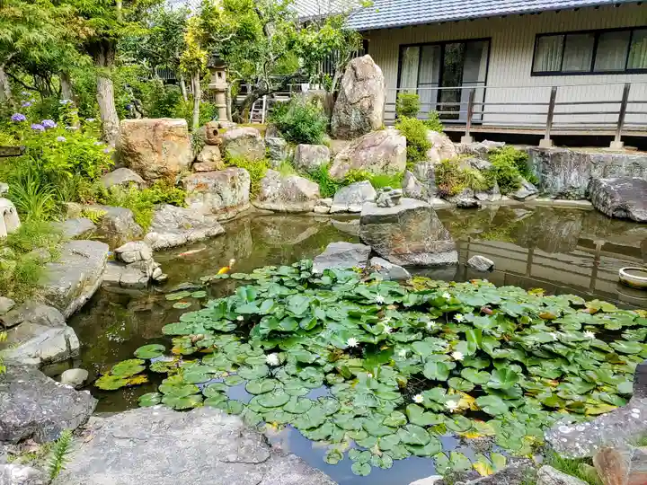 本光寺の庭園