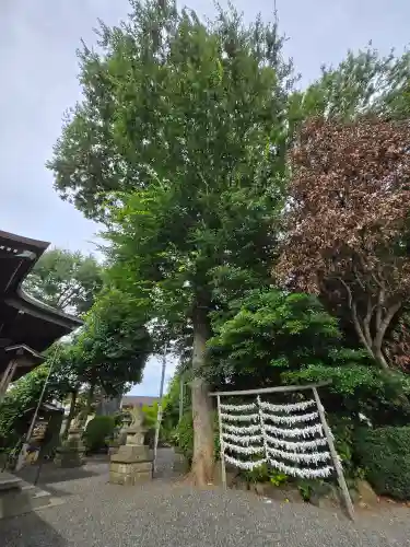 立川熊野神社(東京都)