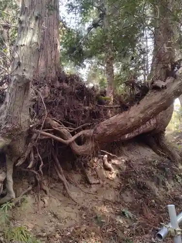 八重垣神社（小斎）(宮城県)