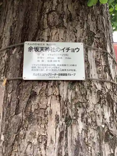 天神社（余坂天神社）のその他建物