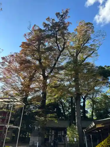 一言主神社(茨城県)