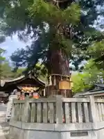 諏訪大社下社秋宮(長野県)