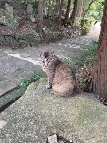 玉野御嶽神社(愛知県)