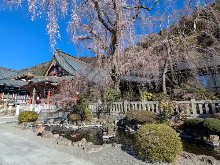 久遠寺(山梨県)