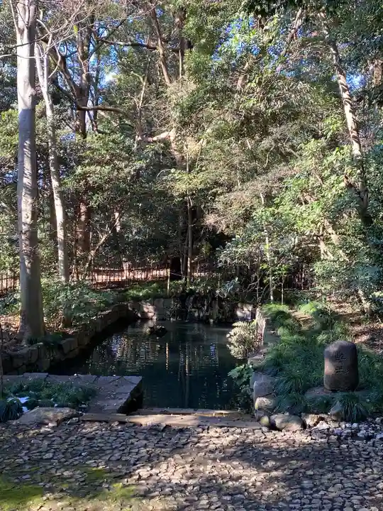 武蔵一宮氷川神社(埼玉県)