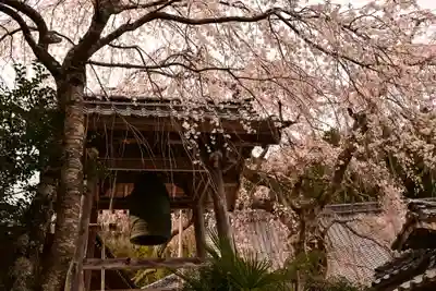 法蓮寺(愛媛県)