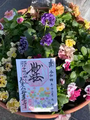 妙蓮寺(神奈川県)