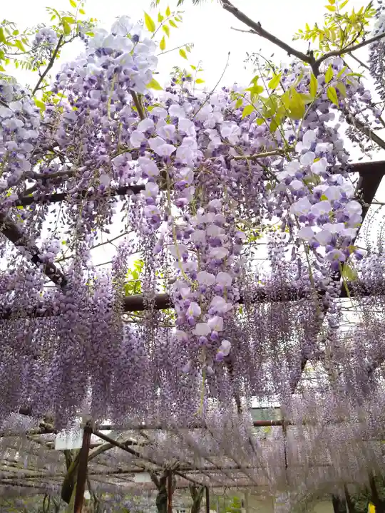 和氣神社(和気神社)の自然
