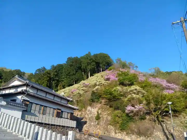 大龍寺(岐阜県)