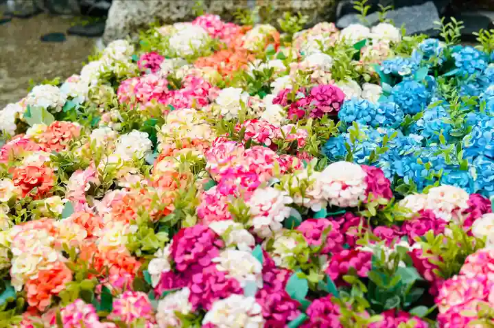 別小江神社(愛知県)