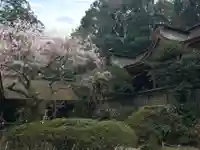 吉野水分神社(吉野町)の景色