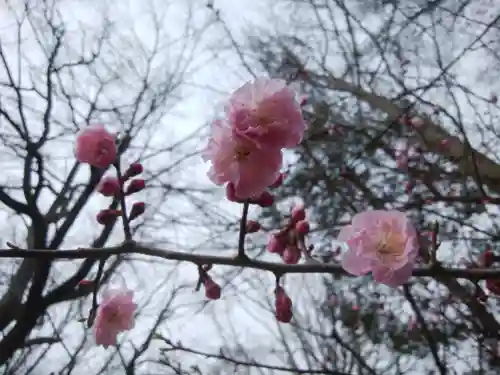 錦山天満宮の自然