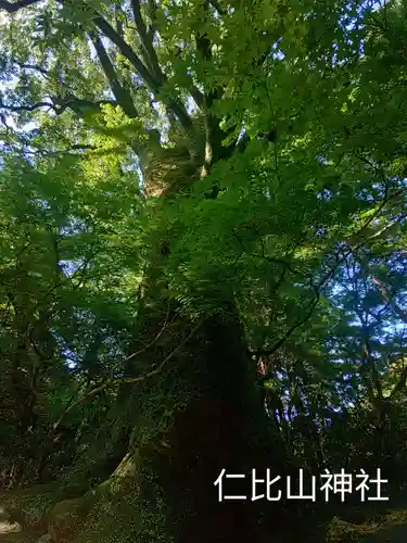 仁比山神社(佐賀県)