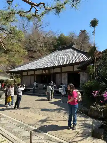 明月院の{uncategorized: "未分類", other: "その他", undefined: "問題あり", building: "その他建物", grave: "お墓", sacred_gate: "鳥居", guardian: "狛犬", statue: "像", buddha: "仏像", history: "歴史", nature: "自然", garden: "庭園", animal: "動物", pagoda: "塔", temizu: "手水舎", mountain_gate: "山門・神門", sanctuary: "本殿・本堂", subordinate: "末社・摂社", art: "芸術", scenery: "景色", jizo: "地蔵", ema: "絵馬", goshuin: "御朱印", omikuji: "おみくじ", items: "授与品その他", amulet: "お守り", goshuincho: "御朱印帳", eats: "食事", festival: "お祭り", votive_dance: "神楽", shichigosan: "七五三参", wedding: "結婚式", experience: "体験その他", initially: "初詣", around: "周辺", anti_infection: "感染症対策"}