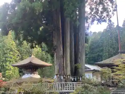 金剛三昧院(和歌山県)