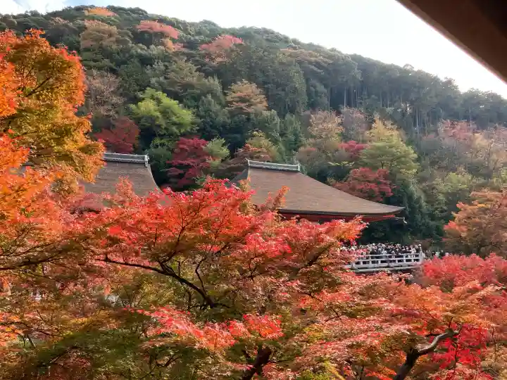 清水寺(京都府)