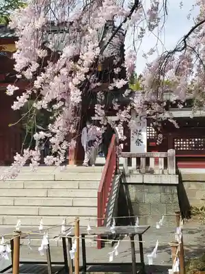 秩父神社のその他建物