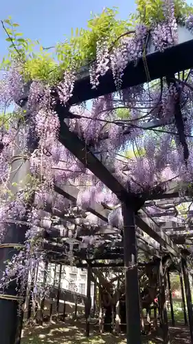 相馬神社(北海道)