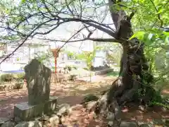 神炊館神社 ⁂奥州須賀川総鎮守⁂の建物その他