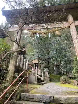代々木神社の鳥居